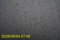 Img20260904_074511.jpg