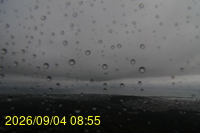 Img20260904_085512.jpg