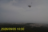 Img20260905_103016.jpg