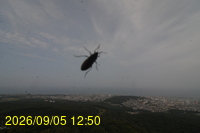 Img20260905_125017.jpg