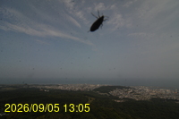 Img20260905_130517.jpg