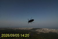 Img20260905_142017.jpg