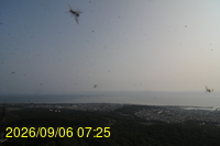 Img20260906_072521.jpg