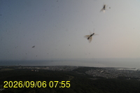 Img20260906_075521.jpg