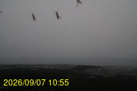 Img20260907_105526.jpg