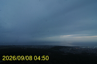 Img20260908_045029.jpg