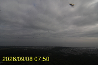 Img20260908_075030.jpg