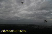 Img20260908_163031.jpg