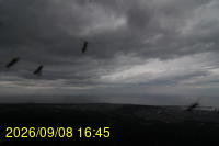Img20260908_164531.jpg