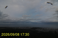 Img20260908_173031.jpg