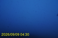 Img20260909_043033.jpg