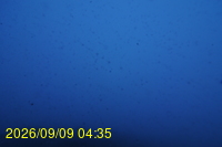 Img20260909_043533.jpg