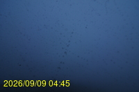 Img20260909_044533.jpg