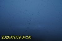 Img20260909_045033.jpg