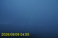 Img20260909_045533.jpg
